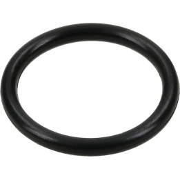 Pierścień uszczelniający o-ring CNH 17289281 - widok z przodu