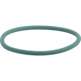 Pierścień uszczelniający o-ring pompy wody CNH 17290081 - widok z przodu