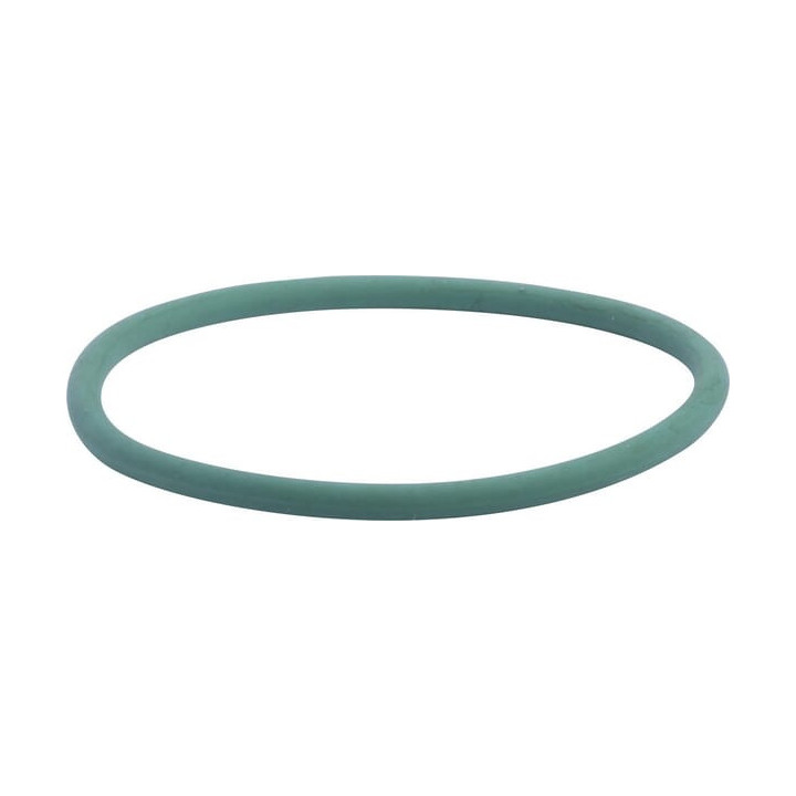 Pierścień uszczelniający o-ring pompy wody CNH 17290081 - widok z przodu