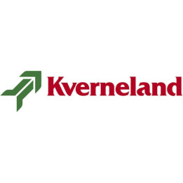 Talerz uzębiony 610 mm Kverneland RF27222 - widok z przodu